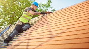 Best Asphalt Shingles Roofing  in Palmyra, WI