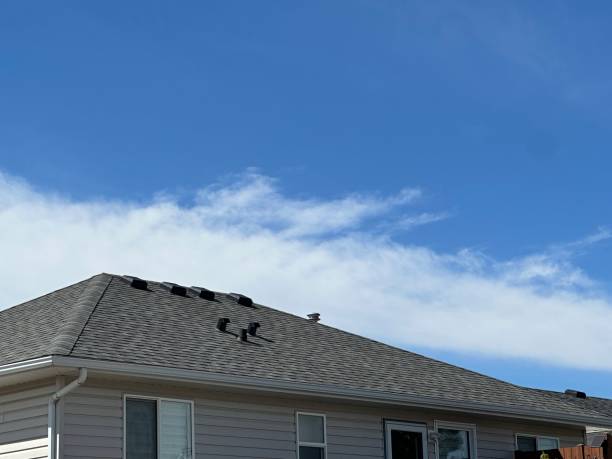 Best 4 Ply Roofing  in Palmyra, WI